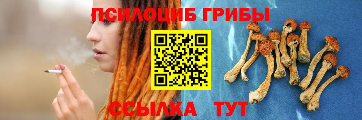 Галлюциногенные грибы мицелий Обнинск